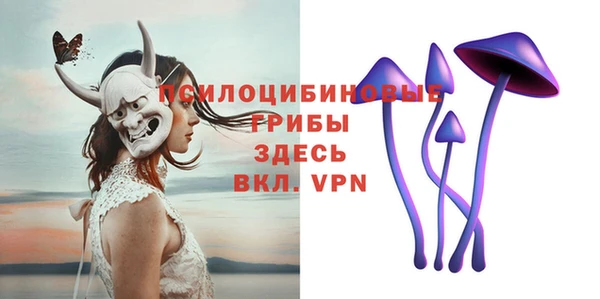 дмт Усинск